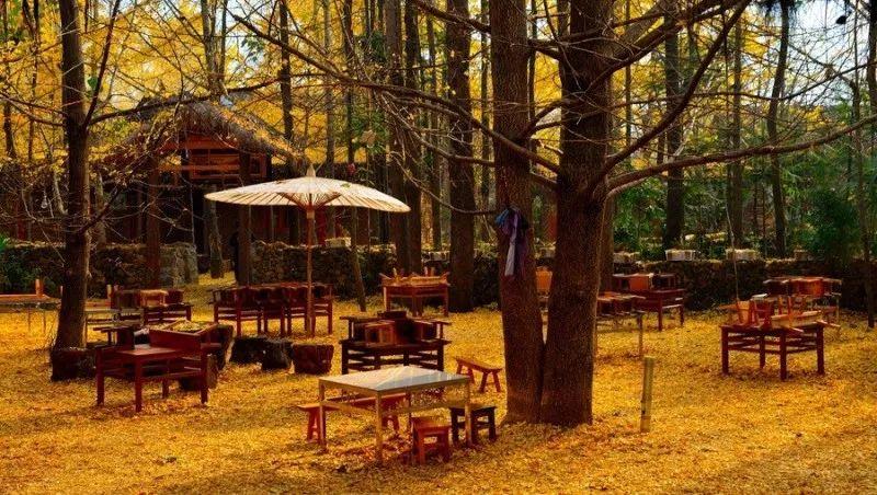 入秋时节，寻一抹火山热海治愈蓝