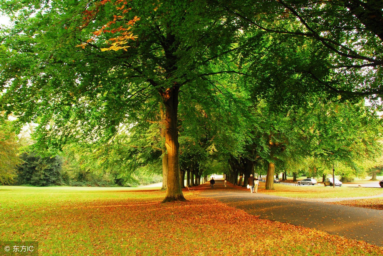 脸皮厚怎么快速解决,脸皮薄怎么办教你一招解决