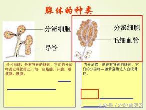 执业兽医考试题库软件,执业兽医师考试题库