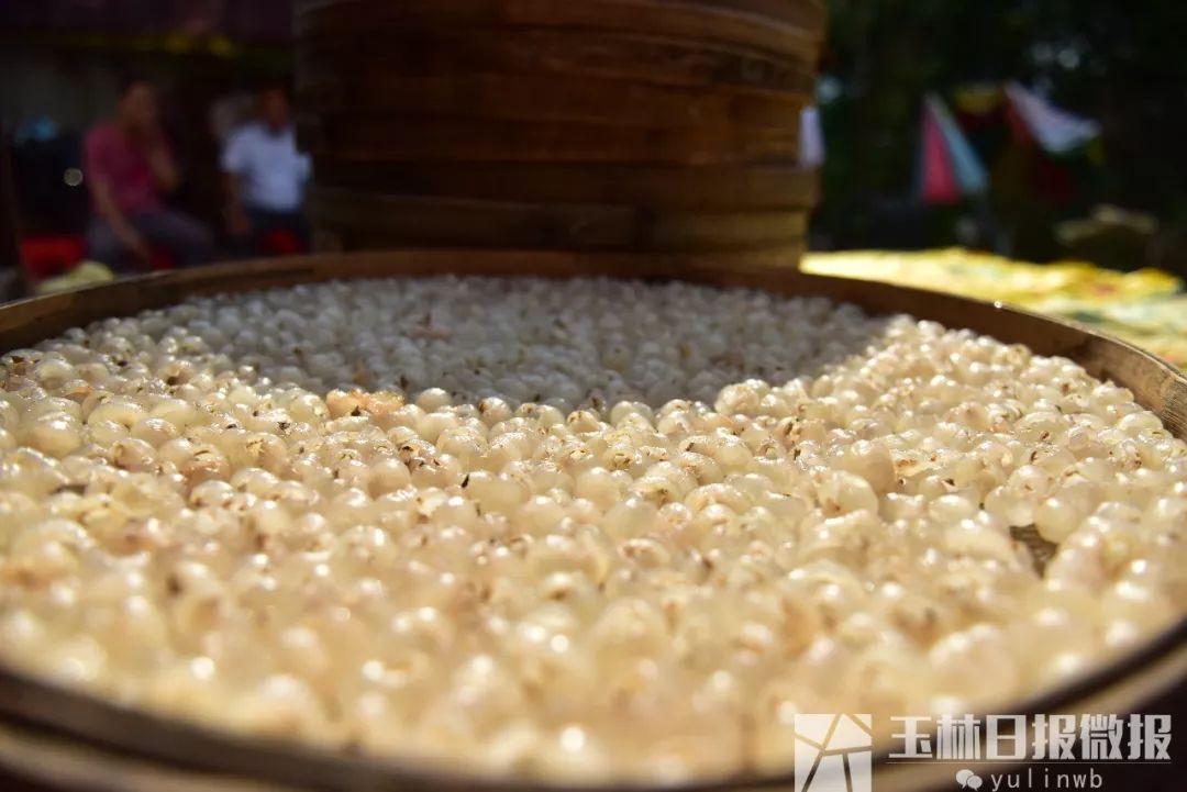 鐜夋灄鍦扮悊鏍囧織璇佹槑鍟嗘爣,鐜夋灄棣栦欢鍦扮悊鏍囧織璇佹槑鍟嗘爣