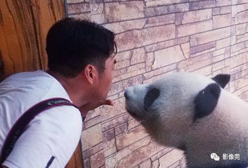 实力圈粉!熊猫兄弟今天正式亮相东莞,一大波萌图滚滚来袭