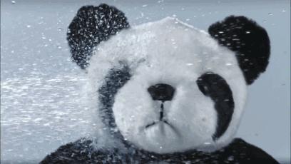 7月“气质榜”前三：商丘南阳周口；郑州女子刚怀孕就被炒了鱿鱼