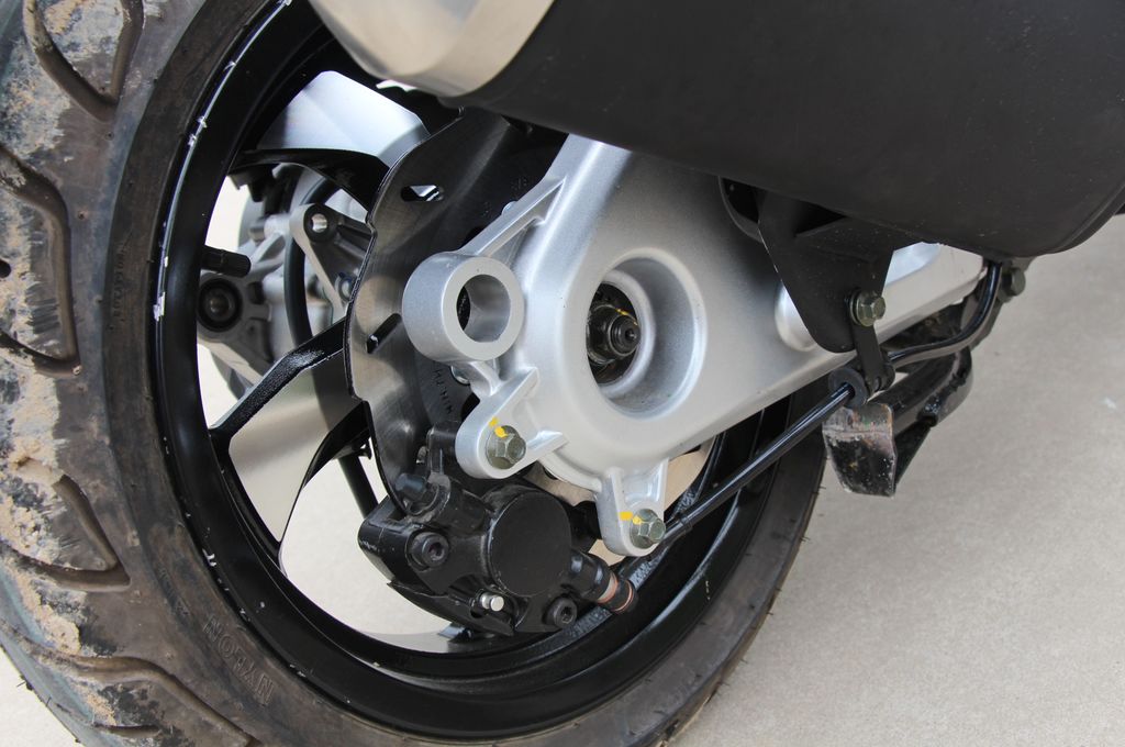 高颜值蚂蚱,漂亮巨型蚂蚱