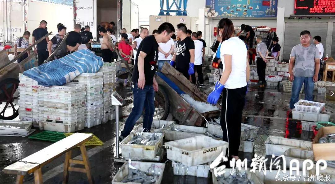 水潺批发价20元/斤跌到3元/斤！开渔，台州海鲜卖白菜价