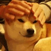 单身税是真是假,单身税到底是真的吗