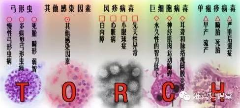 优生优育最准确的检查,优生优育5项检查项目怎么做