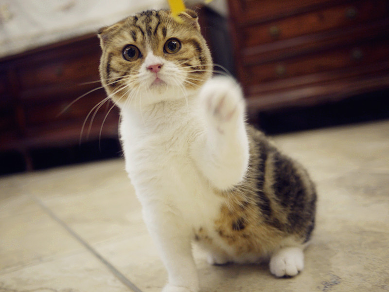 优生优育最准确的检查,优生优育5项检查项目怎么做