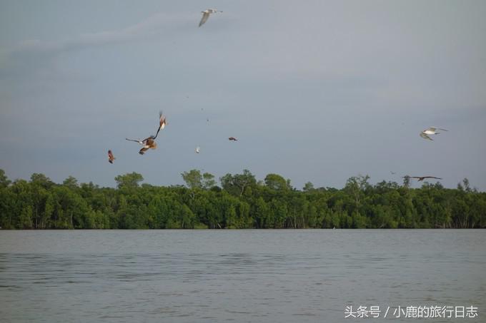 马来西亚天空之镜攻略,马来西亚天空之镜雪兰莪玩法攻略