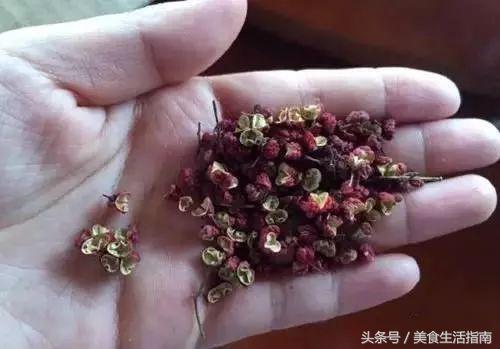 鐐掕彍鐢ㄧ敓濮滃彲浠ユ场鑴氬悧,鐐掕彍娉℃