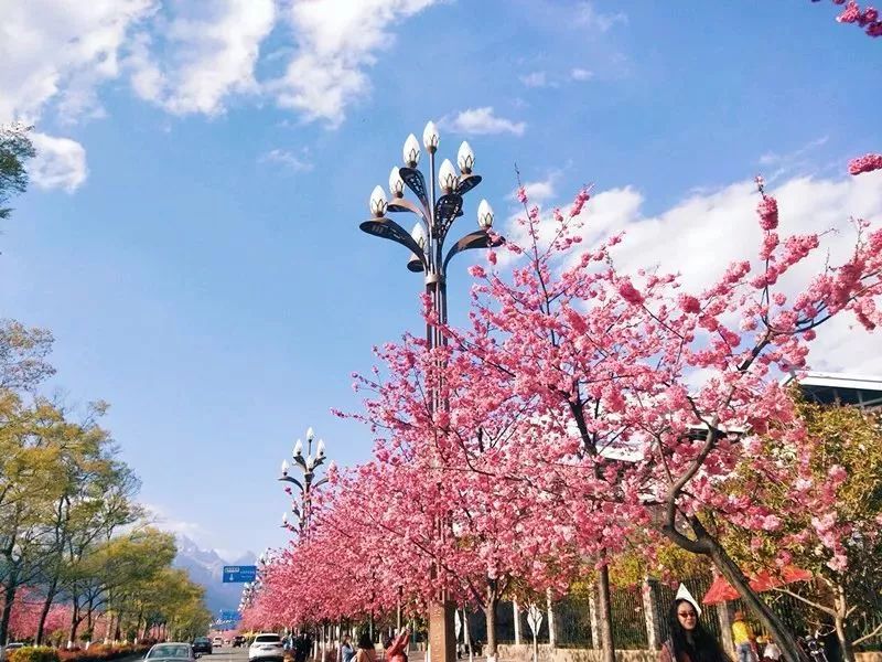 丽江这个时候冷不冷,丽江最美季节