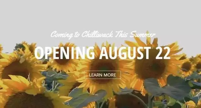 hellokitty抓娃娃机,hellokitty乐园抓娃娃机