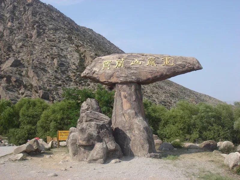 银川西夏区有什么,银川市西夏区最新变化