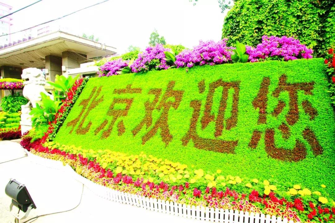 海淀十年照片,海淀40年前的照片