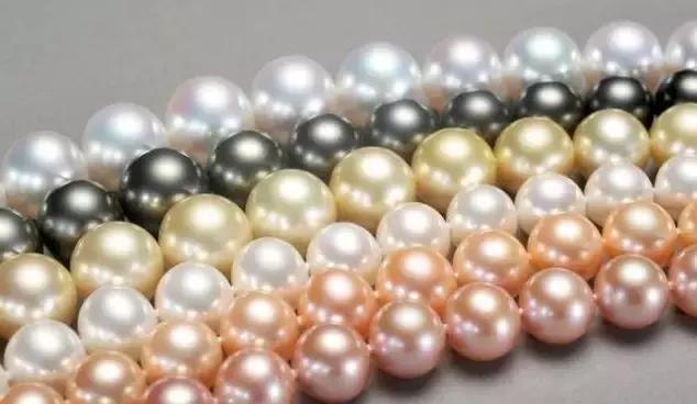 珍珠知识问题解答视频,小火说视频