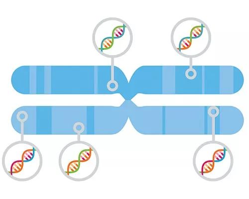 科学家发现癌症新突破,医学新发现癌症最新突破