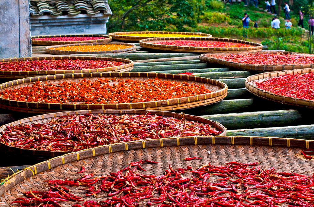 秀美乡村江西,秀美乡村活动视频