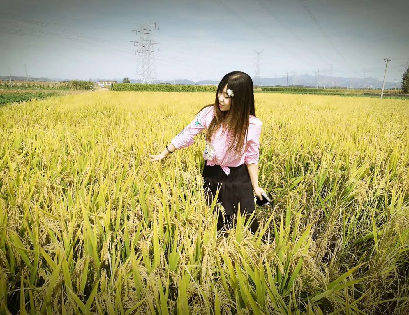 因足球而产生的爱情,因球结缘因缘而聚