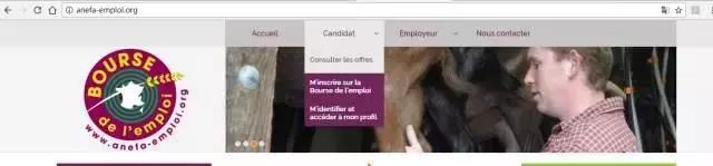 留学生适合的兼职,适合留学生的工作