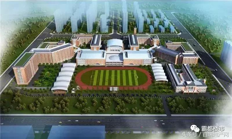 合肥新站区有没有希望引进名校,新站以后会成为国家级高新区吗