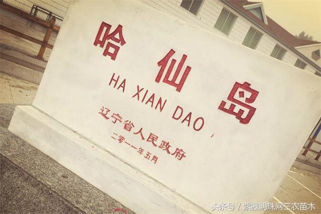 辽宁农家乐旅游攻略,辽宁农家度假村