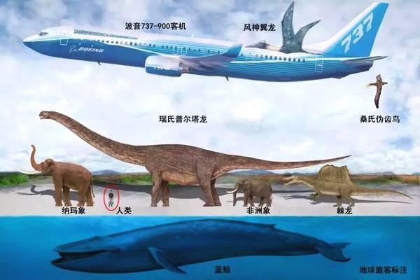 地球出现的史前巨大生物,地球已经灭绝的五种巨型远古生物