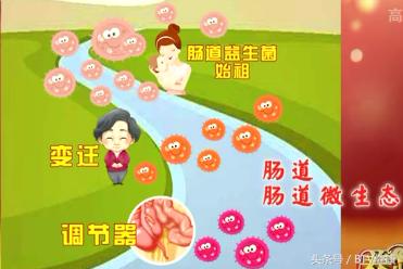 胰腺炎合并电解质紊乱,胰腺紊乱和糖尿病的区别