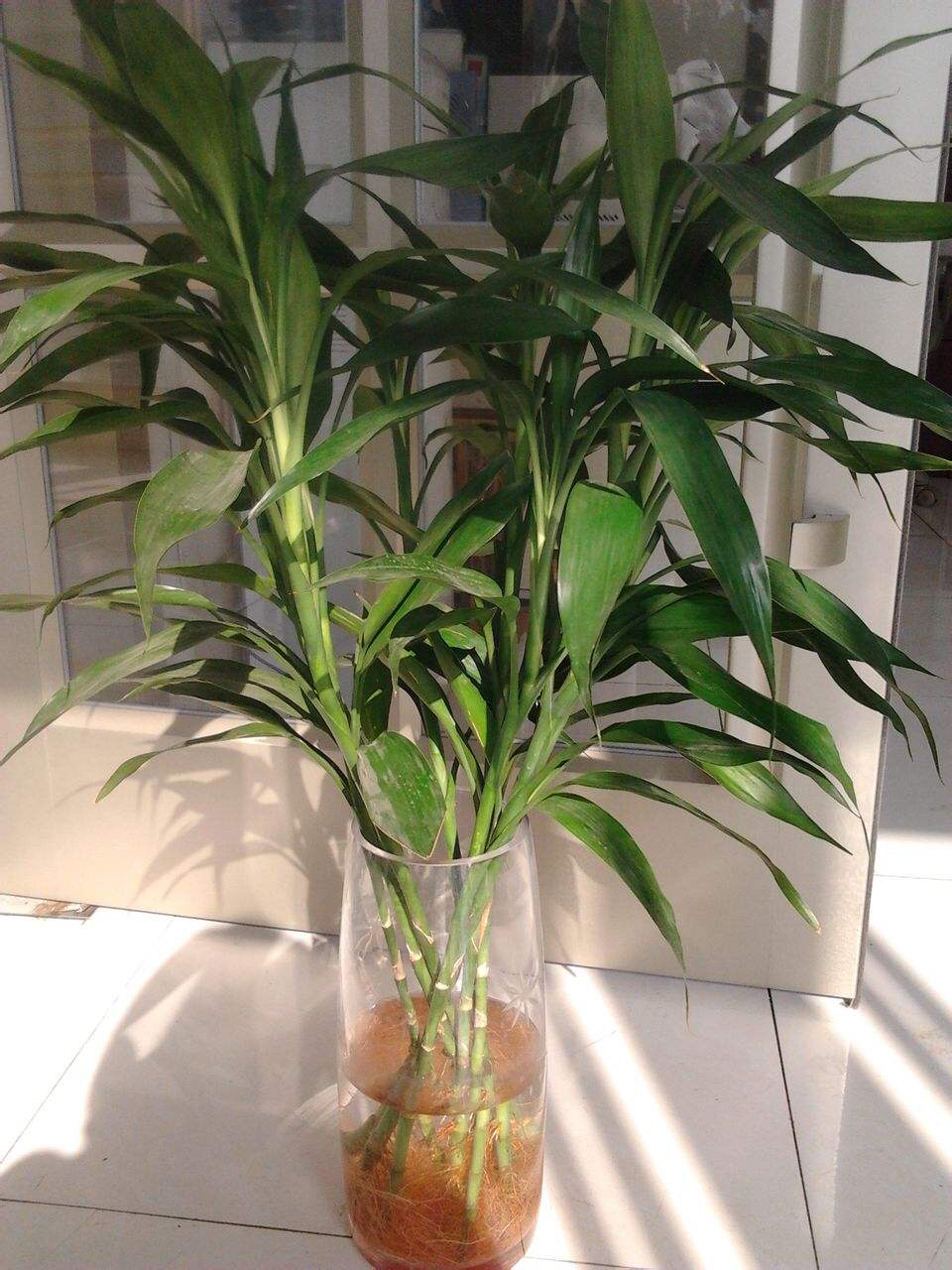 夏天空调干燥怎么办小妙招,空调除湿40%和70%哪个更干燥