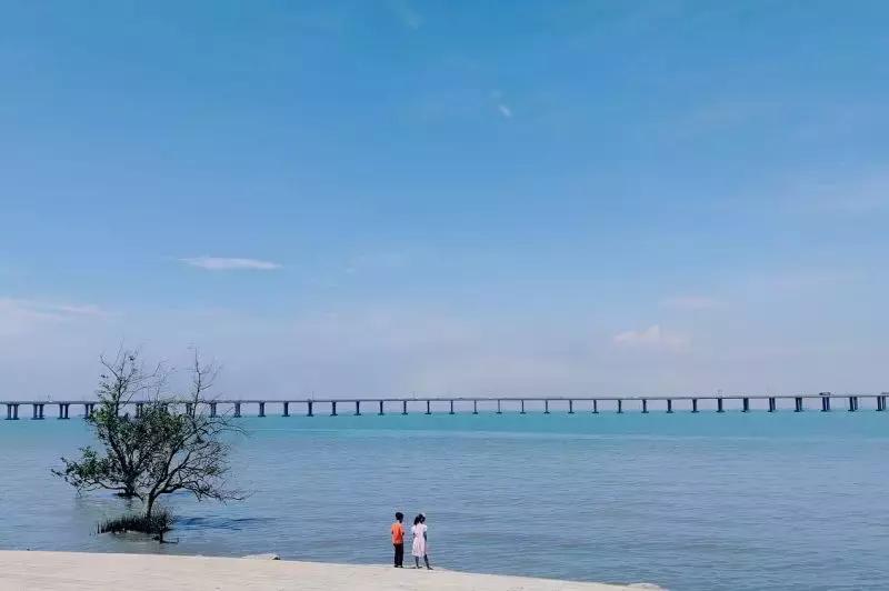 人少景美还免费！深圳13个私藏拍照圣地！随手一拍都是大片！