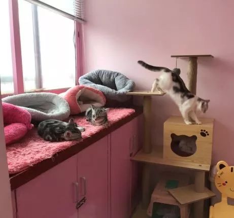 五一广州必吃韩式甜品店推荐,广州打卡网红甜品店高颜值下午茶