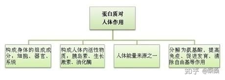 瘦了30斤总结出的42条减肥技巧,想减肥还必须得喝酒怎么办