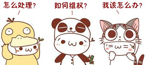 电动车商家不给开发票怎么办,如何投诉拼多多商家不给开发票