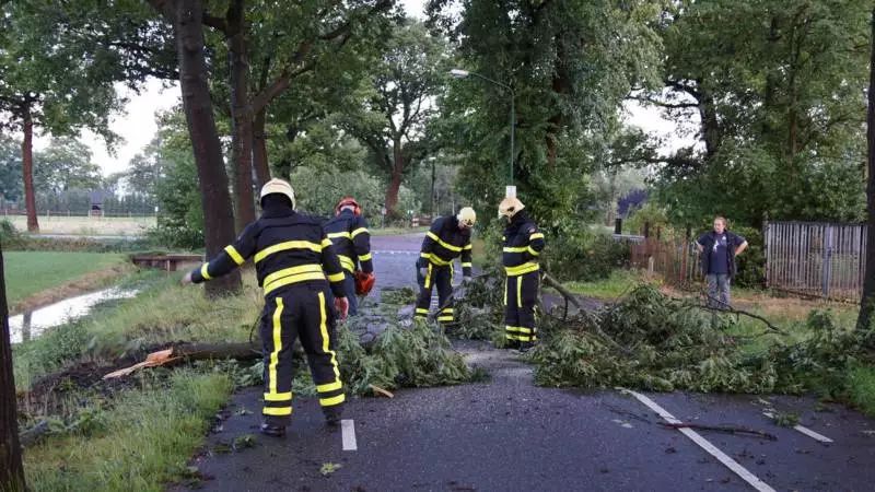 荷兰冷冬天气预报视频,荷兰极寒天气预报