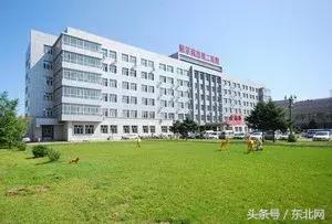 现在行政事业单位找工作需要什么,事业单位找不到适合岗位