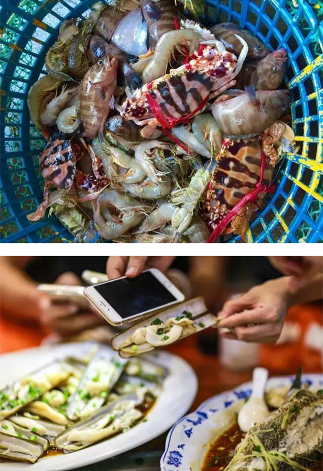 珠海夏日必去海岛,珠海海岛攻略广东最美海岛