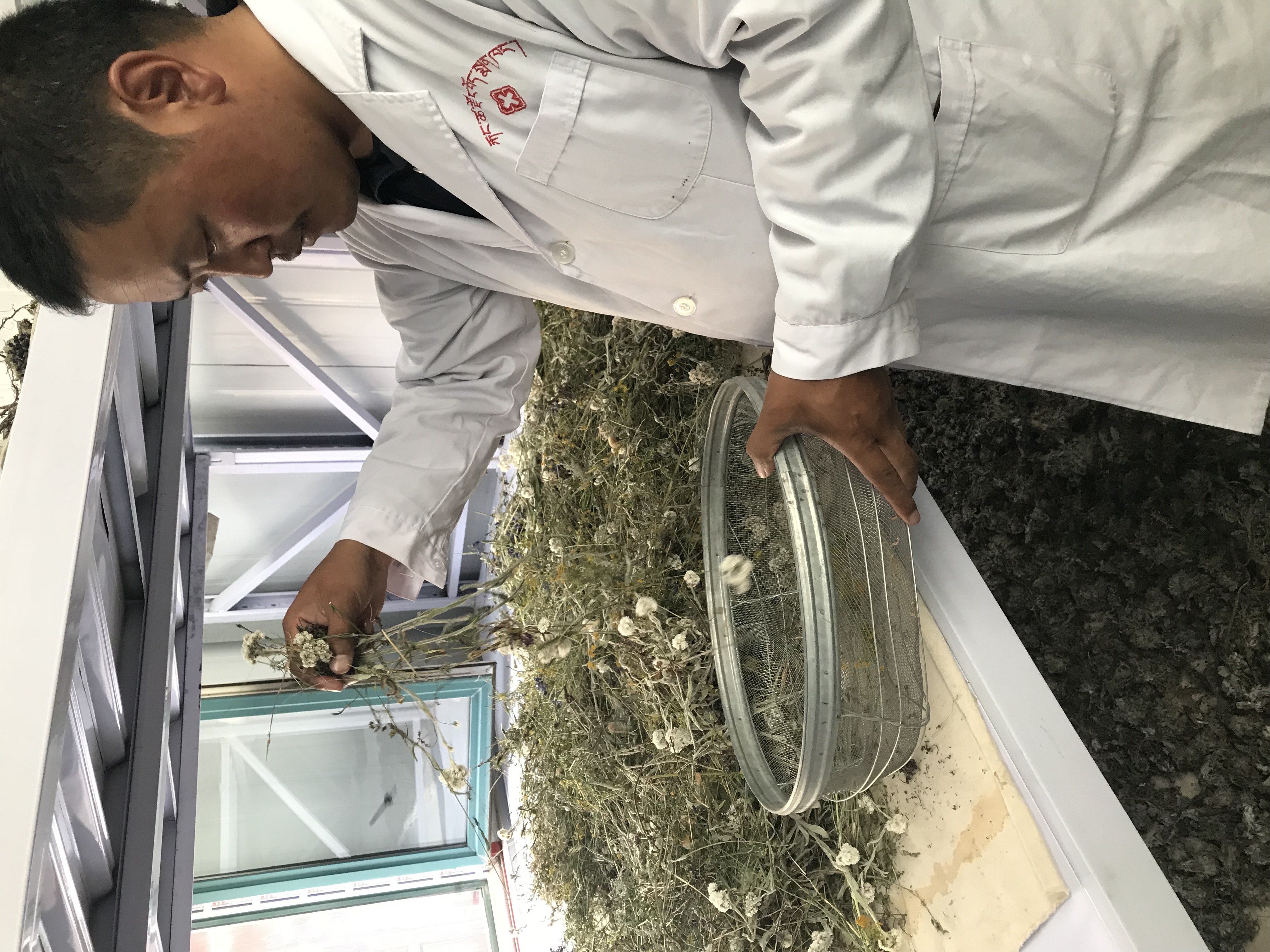 神奇的藏医特色养生疗法,神奇的藏医术