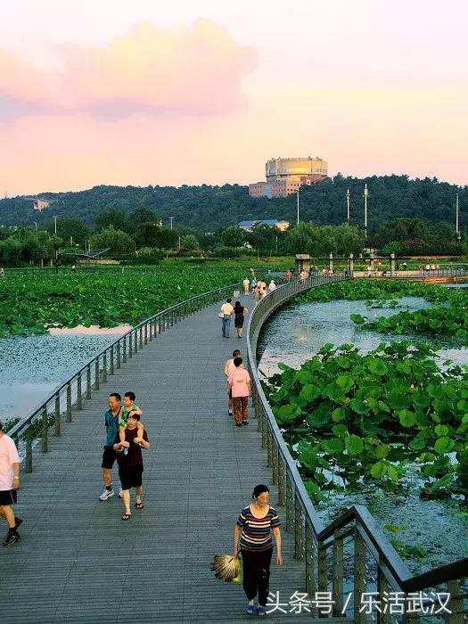 武汉60个免费景点大集合,武汉免费景点推荐3天2晚步行