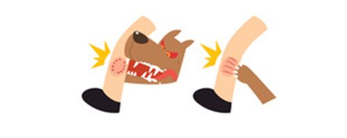 新建区疫苗接种地点大全,建阳疫苗通告