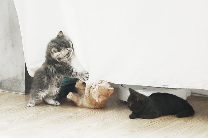 把出租屋改造到房子里,把出租屋改造成豪宅