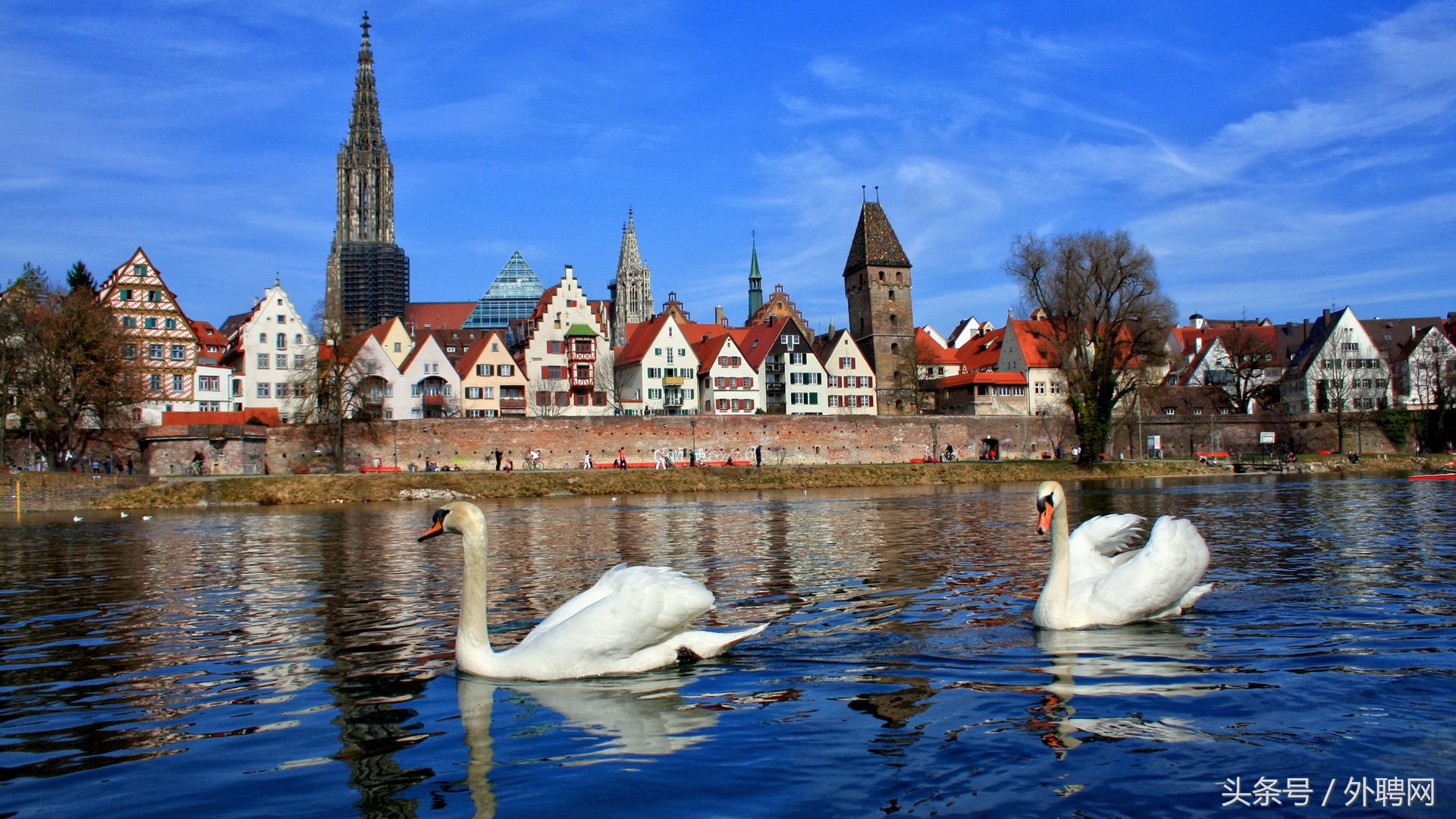 奥地利对阵德国,奥地利pk德国