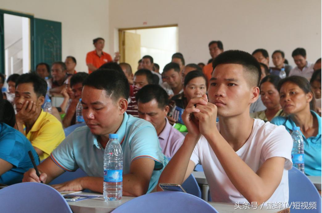 蜜蜂TV送知识下乡，将免费的知识送到新农人手中