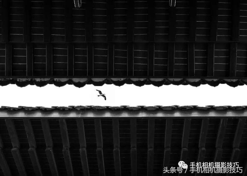 普通人如何拍有意思的视频,生活中可以拍哪些有趣的视频