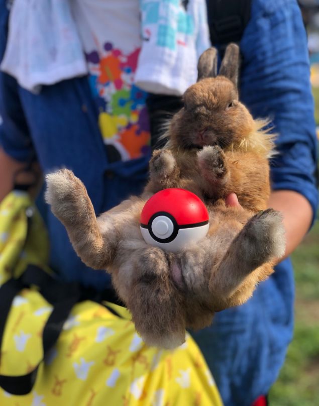 国产擦边球游戏上架Steam,阿宅盛会C94今日开场