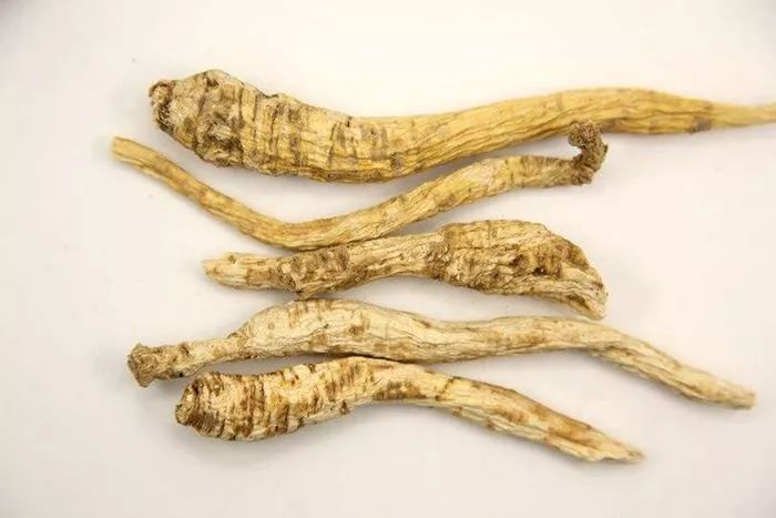 栖霞山百科简介,栖霞山玉竹