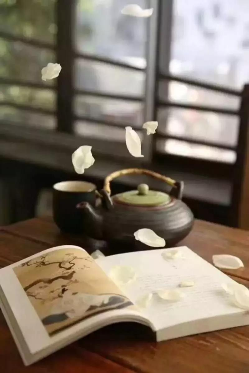 绾㈣眴澶滆瑙嗛,绾㈣眴澶滆