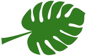 柴桥水芹书记,柴桥街道领导班子