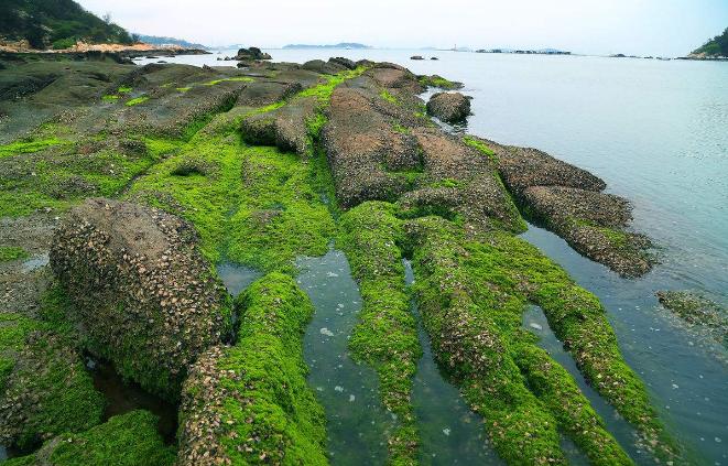 浙江漳州旅游景点推荐,浙江桐庐和建德旅游景点大全