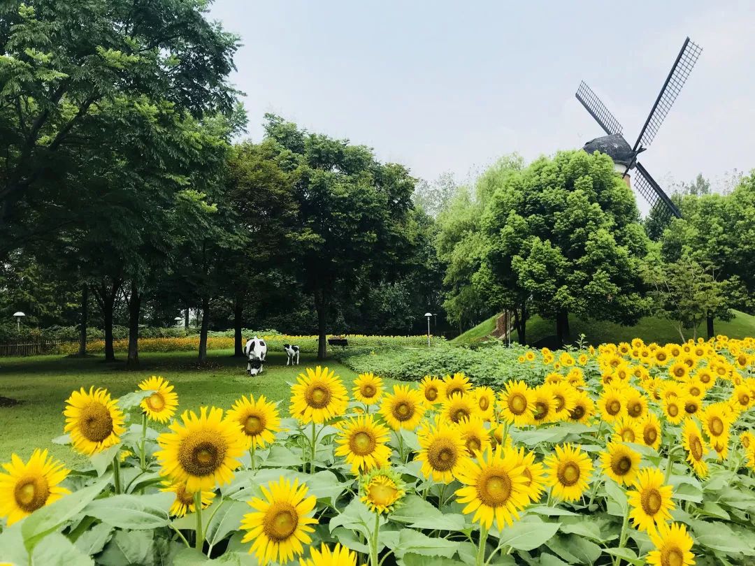 建邺公交车,建邺直达惠民客车大巴