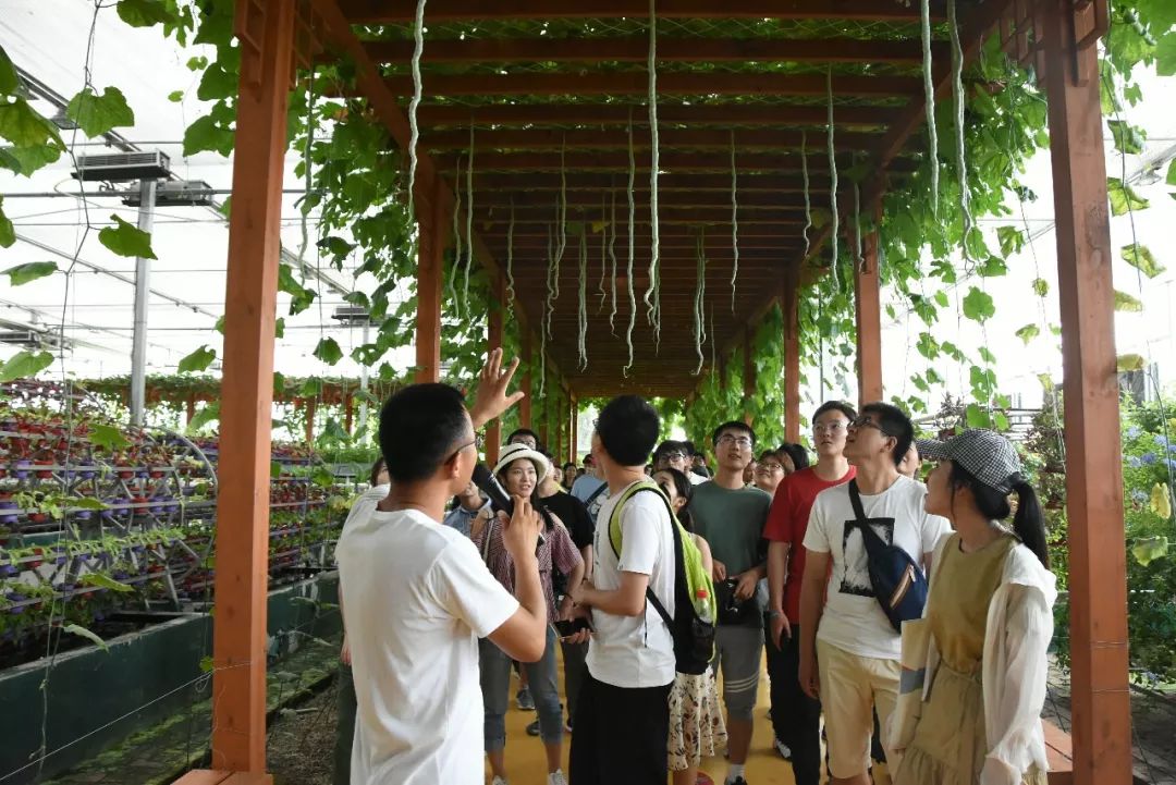 青春同行,飞扬梦想!“百名学子看淮安我与家乡共成长”之行,收获满满!