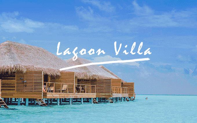 马尔代夫游记可可尼岛,马尔代夫可可亚岛旅游攻略