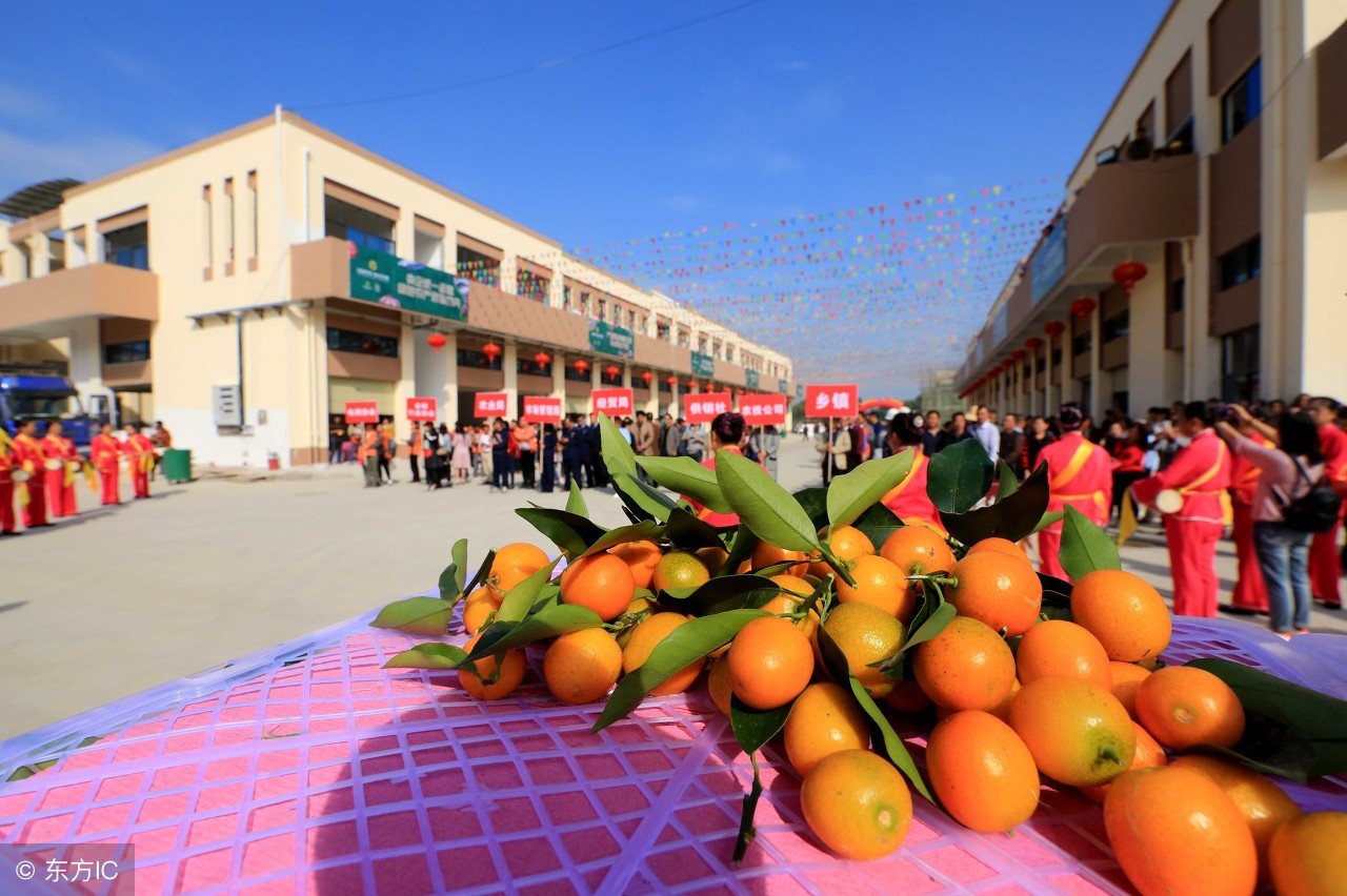 京东下乡,折了;拼多多,假货泛滥;除了农村淘宝,还能看好谁?